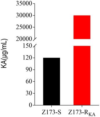 Alanine-mediated P cycle boosting enhances the killing efficiency of kasugamycin on antibiotic-resistant Xanthomonas oryzae